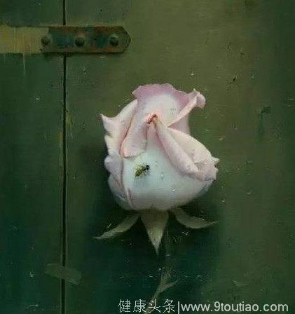 心理测试:哪朵花有破碎感,测未来三个月有什么事让你不开心。