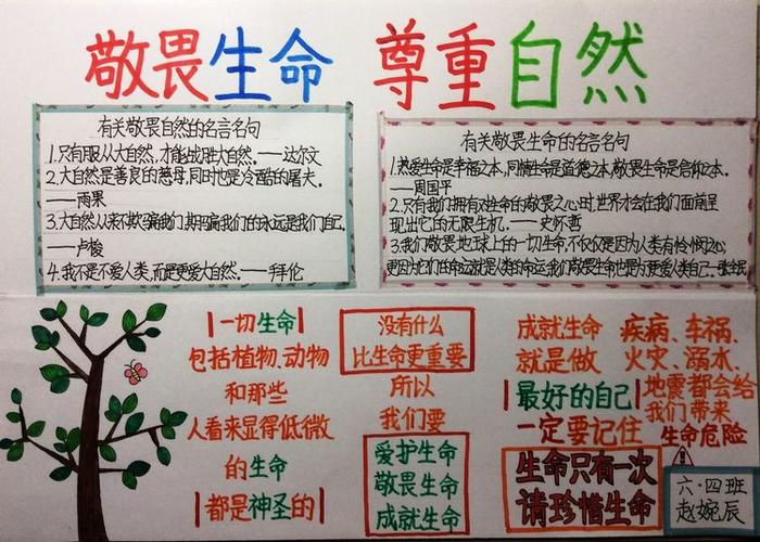 8个生活智慧提炼，感悟人生，读懂生命意义