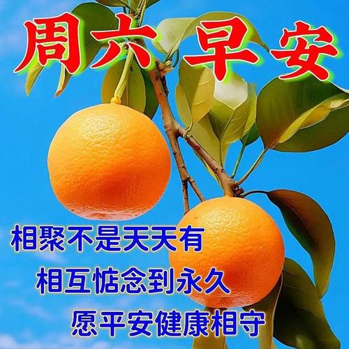 2023年11月11日星期六最新早安漂亮祝福图片大全