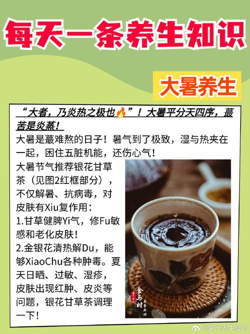 今日大暑|中医教你一些养生小常识