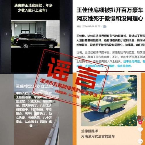 河南王佳佳事件,过激行为处理太偏执