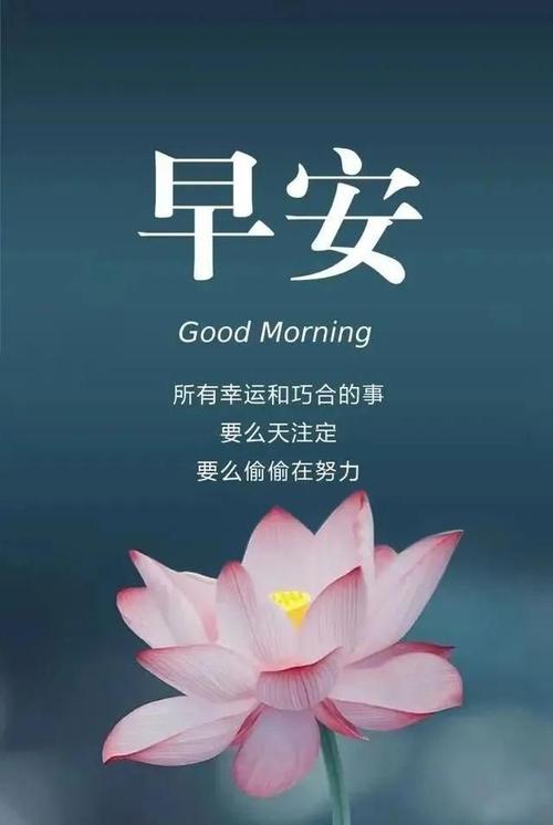 早安心语励志经典语句，每日清晨早安感悟正能量