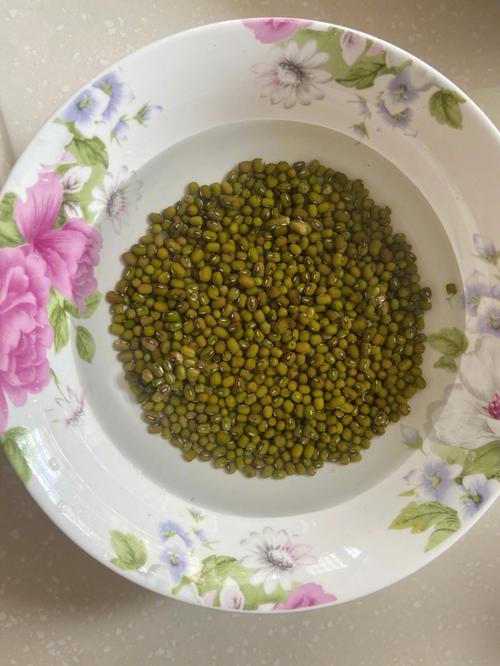 在家自制绿豆芽,教您4个小窍门,豆芽4天就能吃,纯天然又营养