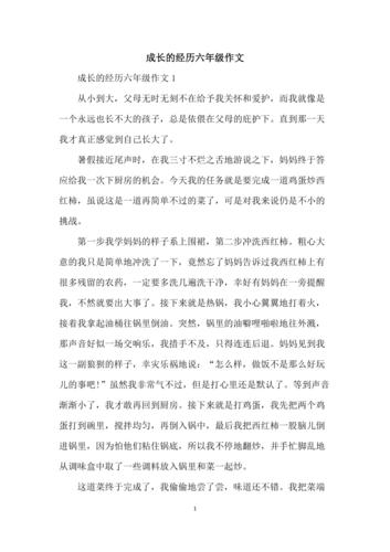 学生作文成长是一种难忘的经历师如画