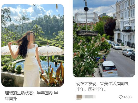 华人亲述半年在国内,半年在新西兰的生活什么样。