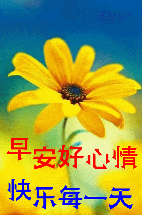 上午好问候祝福动态表情图片,周一吉祥美好心情从问候开始