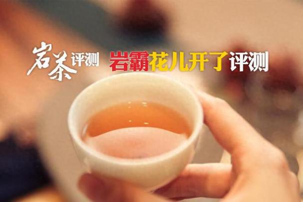 名字霸气就真霸气。岩霸花儿开了评测