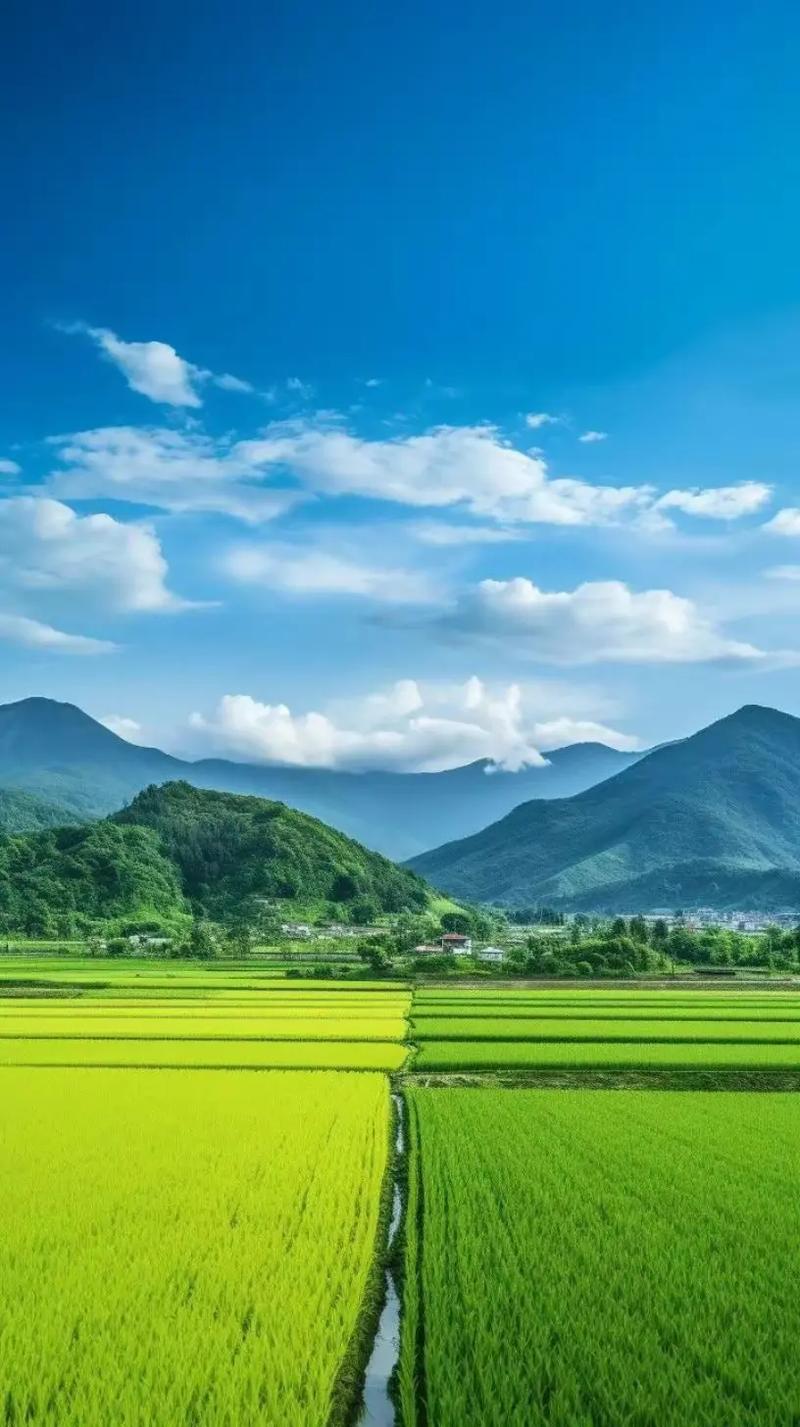 美丽风景，无处不在
