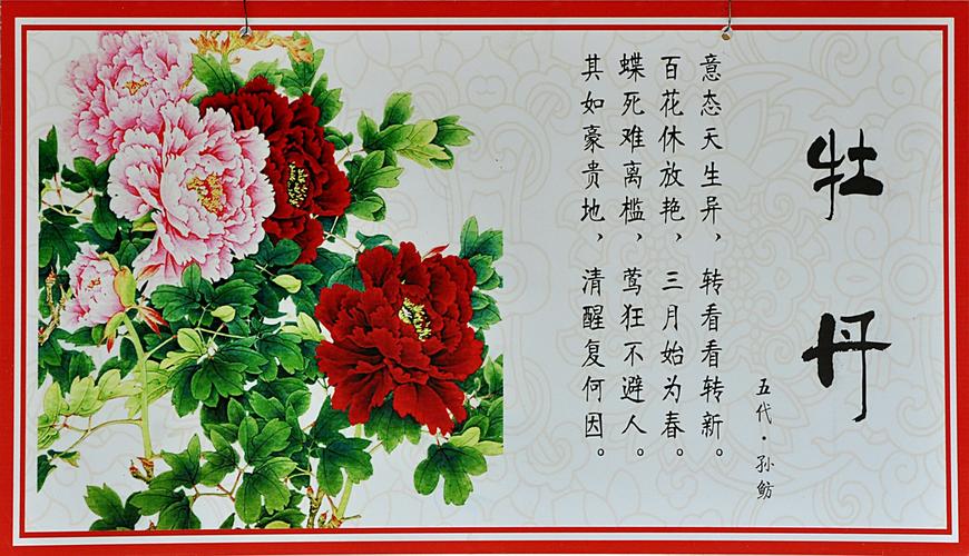 赞美牡丹的精美语句牡丹脂粉艳丽,明明净净