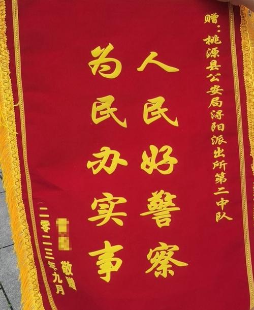 电子锦旗、朋友圈小作文桃源公安一天收获双倍“警”喜