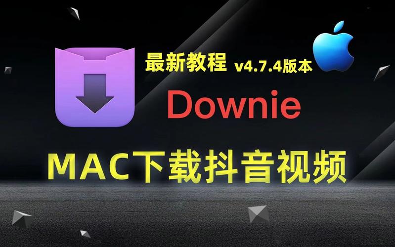 Dowine视频下载器官方下载地址最全最新官方下载地址，让你轻