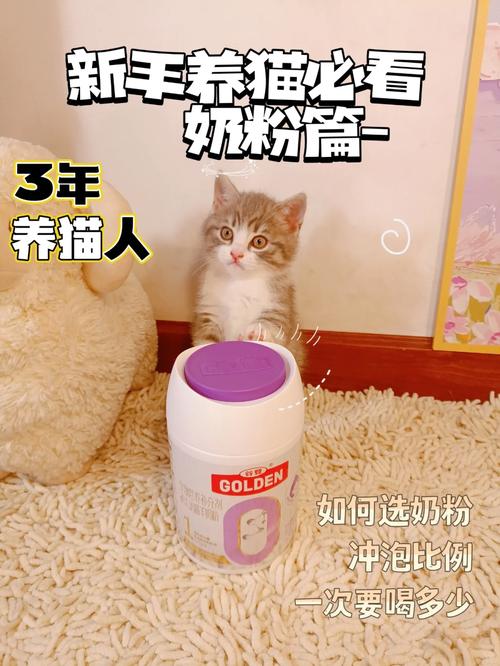 养猫知识刚出生的小猫喝什么奶粉