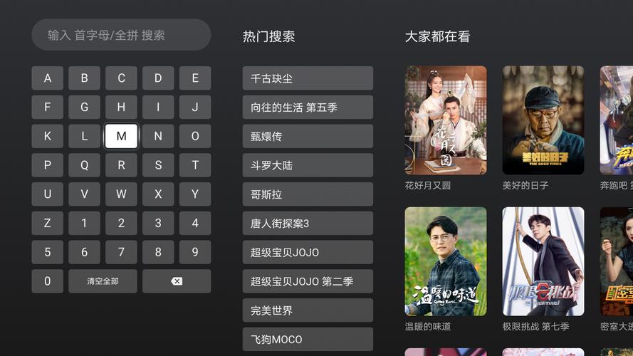 抓取视频的软件-搜索视频软件-免费采集视频的软件