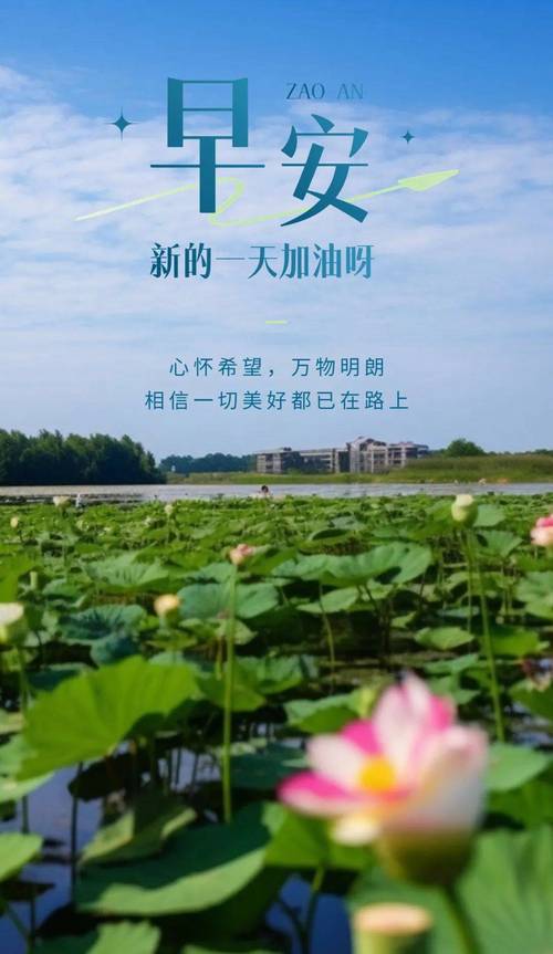 朋友圈最全最美早安图片大全早安阳光正能量语录