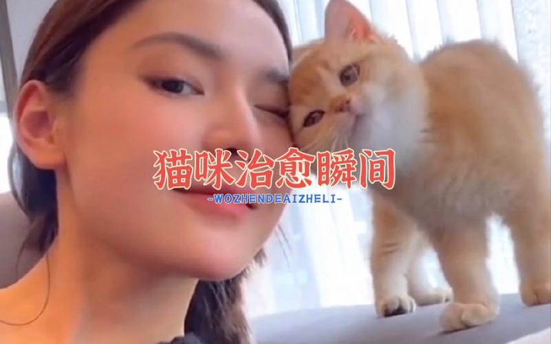 我与猫的幸福瞬间，治愈一切不开心