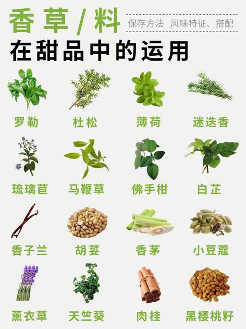 日常生活中简单地使用香草的方法是什么。用香草的力量自我保养吧
