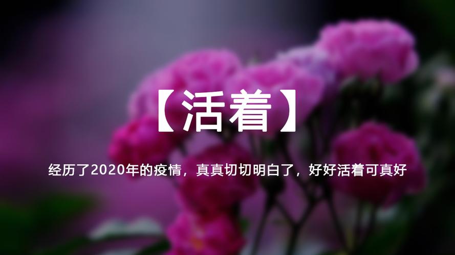 经历了这三件事,你就会明白活着有什么意义