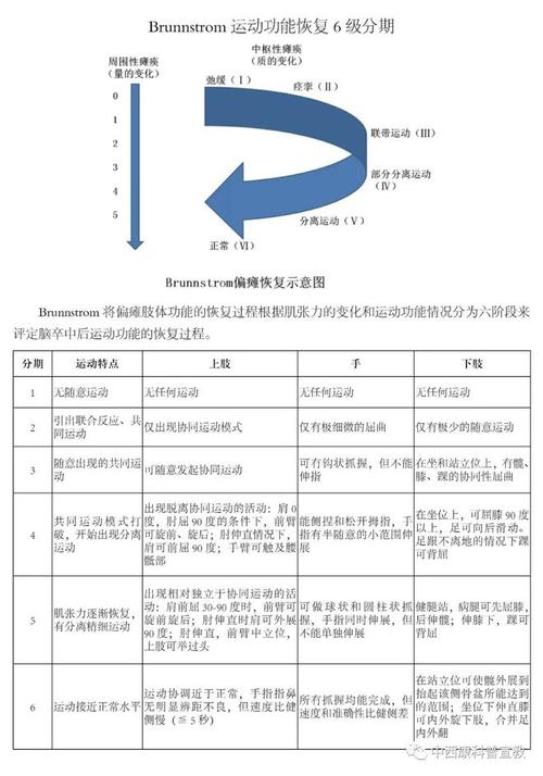 Brunnstrom分期详解偏瘫患者下肢居家康复训练