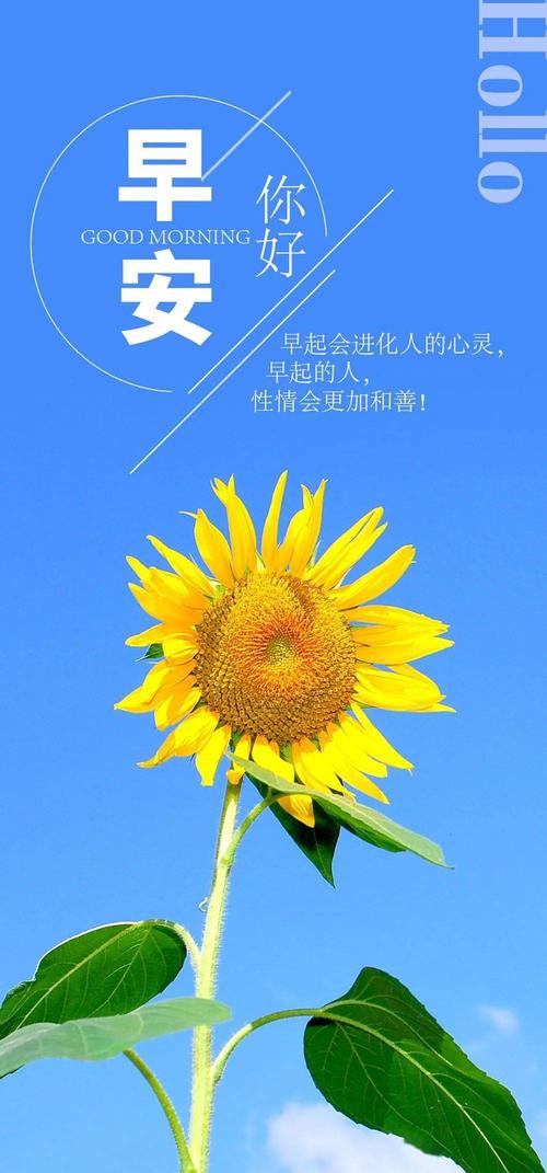 早安心语正能量哲理语录说说微信早安图片带字正能量