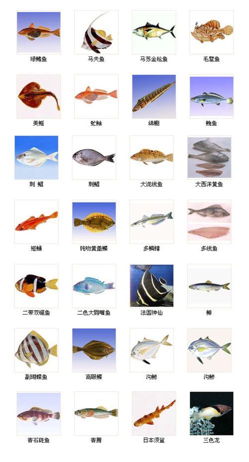 收藏常见海鱼的种类及名称