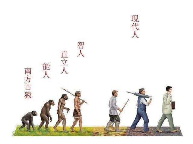 中国发现新种古人类将改变人类进化史