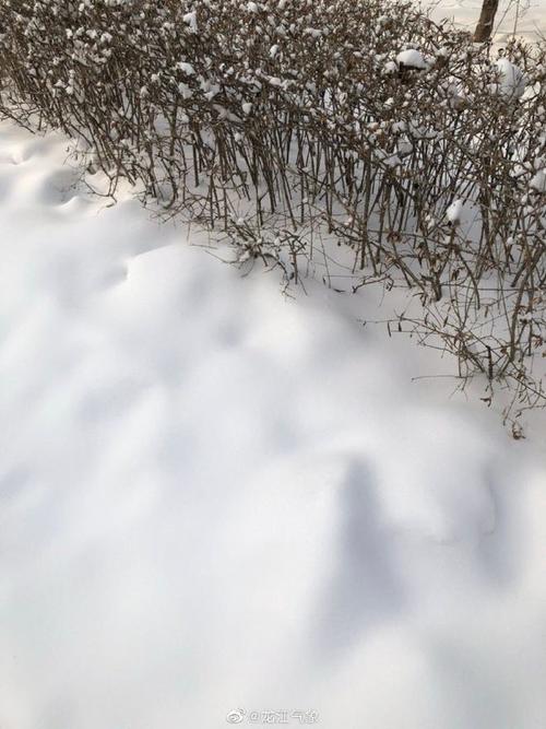 小布说天气|生活中没有雪,我们依然可以过得很精彩