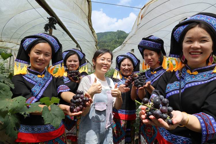 贵州麻江仫佬文化艺术节开幕特色产业助力乡村振兴
