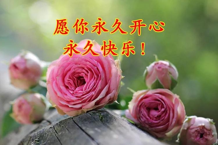 表达美好祝福的10句话，希望它们能带给你力量