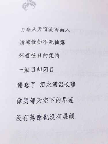 书摘|“有哪些值得摘抄的散文美句”