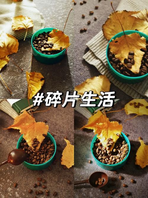 拿起相机，记录美好的生活碎片