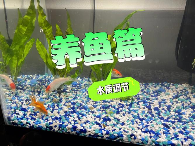 养鱼圈的主流说法,日常养鱼要加千分之三的盐,对水质有损害吗。
