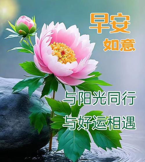「2023.11.14」早安精选祝福,带字问候语短句子大全,吉祥安康