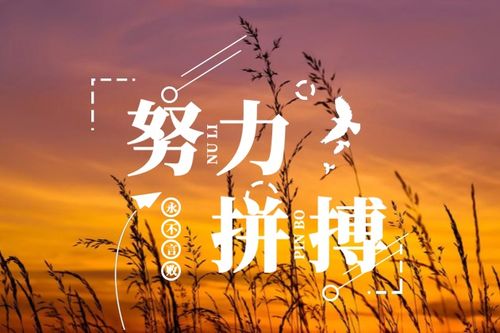 莫负春日好时光,努力拼搏