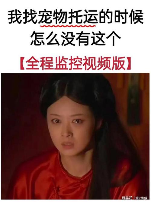 实在荒唐,男子强迫女友和宠物发生关系,过程中还录制了视频