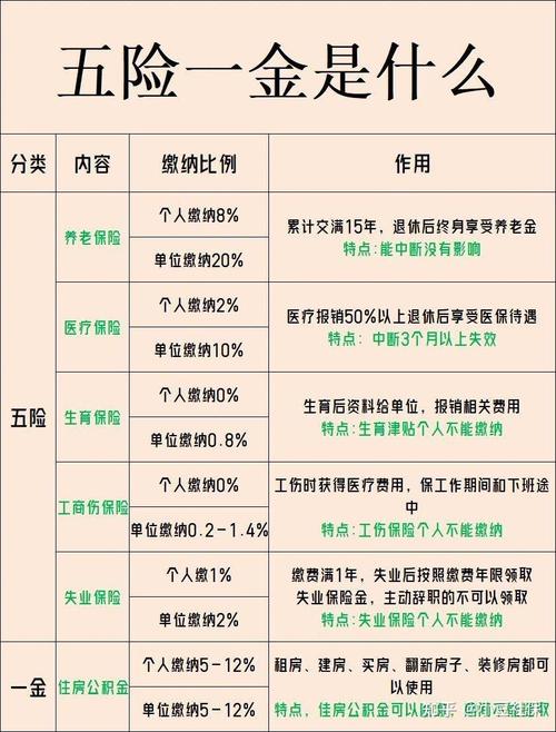 五险一金包括什么。指的是什么。