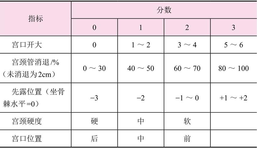 名称故事丨Bishop评分