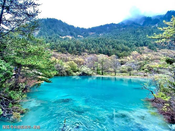 四川旅游必去十大景点探秘“天府之国”的绝美风光