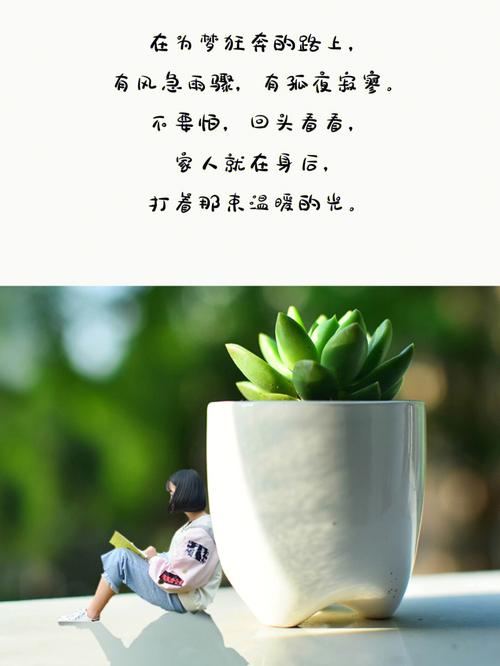 宽心宋诗生活的最美的样子，就是将柴米油盐的日子过成诗的模样