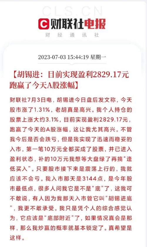 胡锡进长文复盘炒股以来最难忘的一天