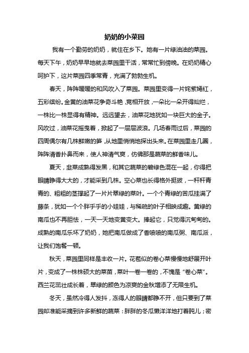 散文理想中适合养老的田园生活