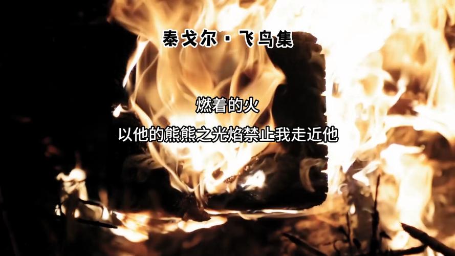 泰戈尔诞辰前夕飞鸟集竟是献给日本人的。