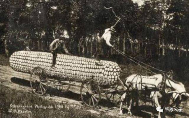 专家美国生产力繁荣即将到来,或超过上世纪90年代的繁荣时期
