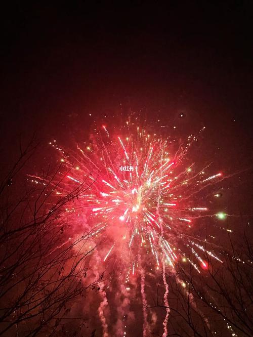 放烟花的快乐和看烟花的快乐,哪个更快乐。