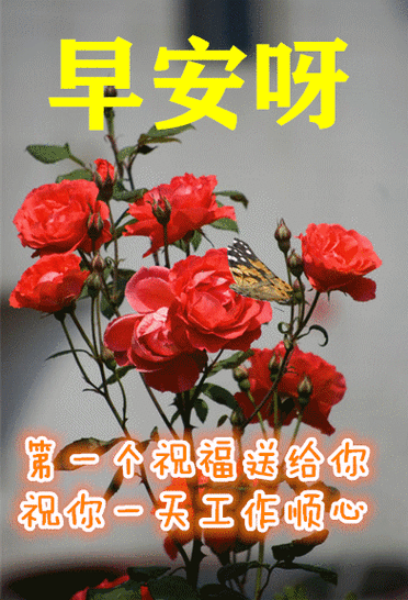 上午好,冬日最新特漂亮的图片动态表情大全,最美风景美图大全