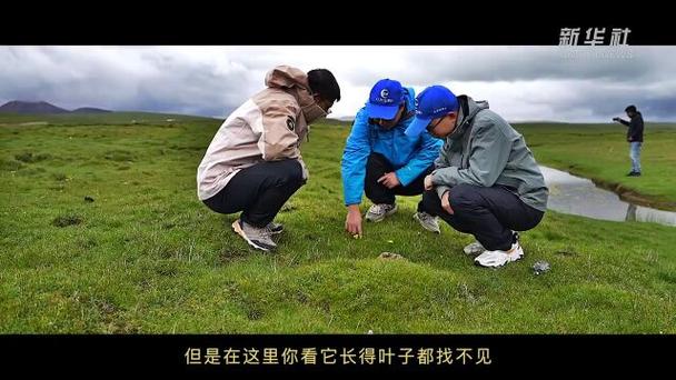 央媒看青海纪录片|江源的秘密