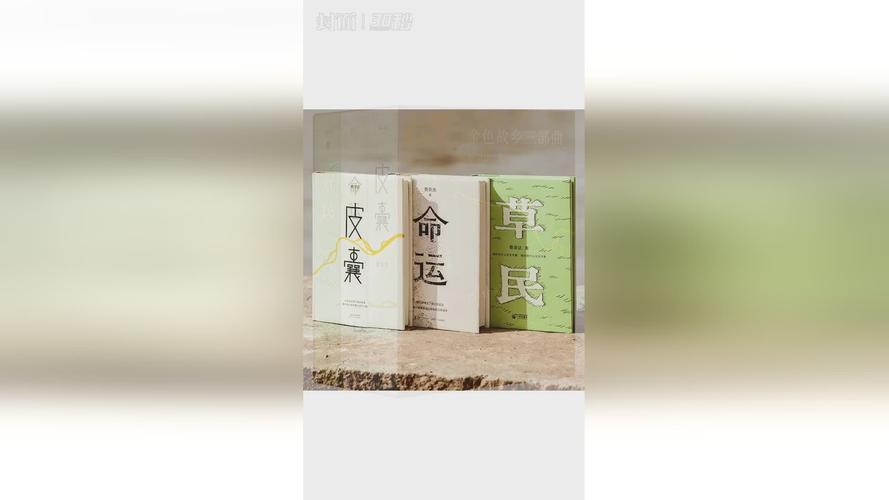 当文学作品首发登上广州“小蛮腰”评论界这样分析“蔡崇达现象”