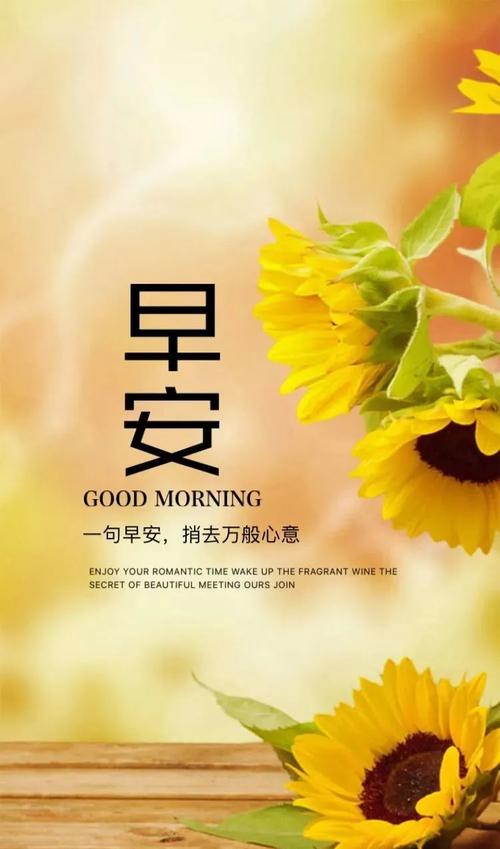 阳光向上的早安说说图片,句句精挑细选