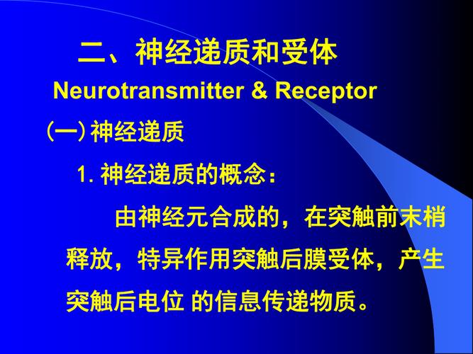 生理学课件神经系统功能