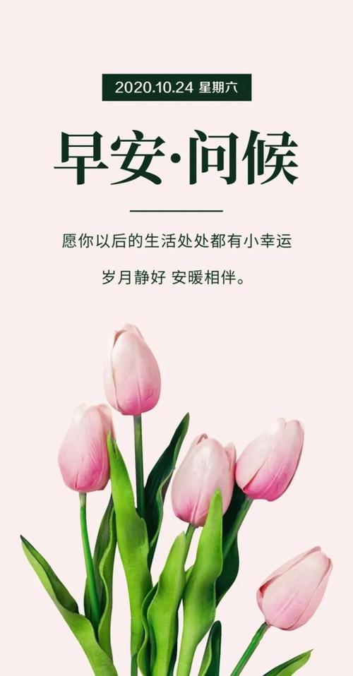 早晨问候语简短最美的句子,美好一天开始,给自己一个希望