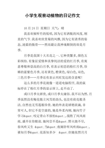 老师荐书|50篇自然观察日记,这本书里藏着真实丰富的动植物知识